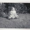 batch2scan-114